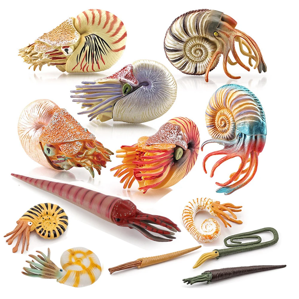 Brinquedos de Animais Marinhos - Kids Toys Reviews avaliação e preço